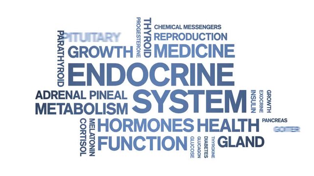 Endocrine System animated word cloud-animation tag kinetic typography seamless loop.