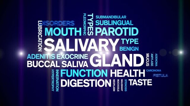 Salivary Gland animated word cloud-animation tag kinetic typography seamless loop.