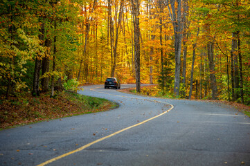 Car driving on a winding country road through a forest of golden and orange autumn trees, scenic fall road trip through Ontario cottage country, Canada at peak leaf season © Alessandro Cancian