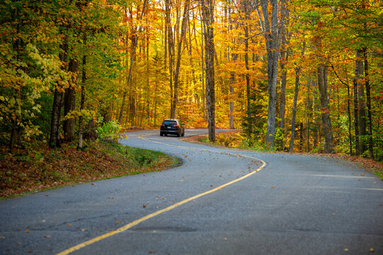 Car driving on a winding country road through a forest of golden and orange autumn trees, scenic fall road trip through Ontario cottage country, Canada at peak leaf season