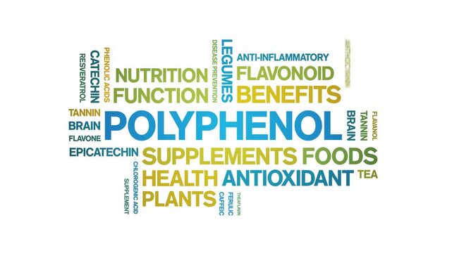 Polyphenol animated word cloud-animation tag kinetic typography seamless loop.