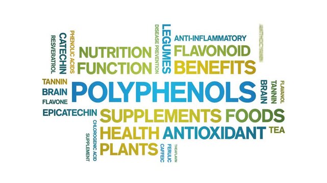 Polyphenols animated word cloud-animation tag kinetic typography seamless loop.