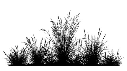 CAD tree lines,  grass Black grass silhouette vector, wild meadow plants and field weeds illustration, botanical garden border isolated on white background vector © MstRahela