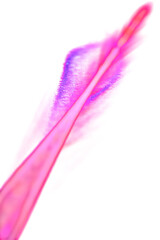 Obraz premium A vibrant, abstract depiction of a glowing, elongated form resembling a feather.