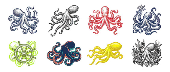 Collection of stylized octopus illustrations in various colors © asep
