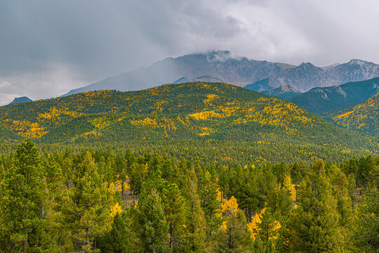 Dramatic storm clouds roll over Pikes Peak with patches of golden aspen trees dotting the green forested mountain slopes.