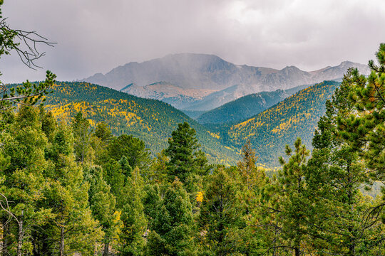 Lush pine forest frames a deep mountain valley leading to the hazy summit of Pikes Peak with scattered golden fall colors.