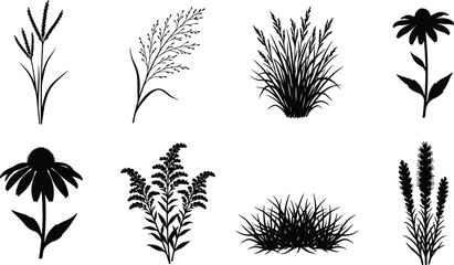 Set of black botanical silhouettes featuring wild meadow grasses, ornamental flowers, and rustic field plants on white © MDMORSALIN