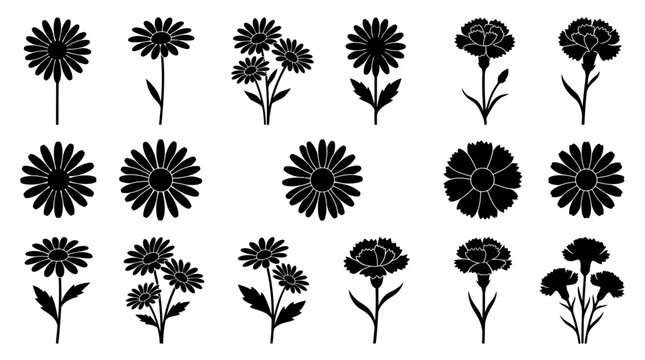 Collection of black flower silhouettes including daisies and carnations for floral design projects