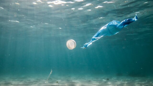 Serene underwater swimmer in crystal clear ocean with sunlight rays filtering through water
