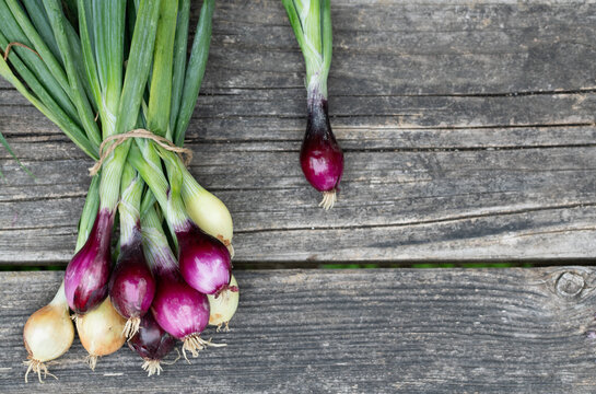 A bunch of fresh small salad onions lies on a rustic wooden board. The onions are red and white.