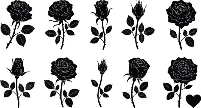 Elegant black rose silhouette icons collection featuring blooming flowers long stems sharp thorns and delicate rosebud vectors