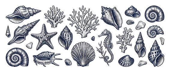 Vintage Nautical Marine Life Collection Hand Drawn © umi