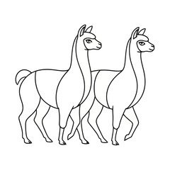 Fototapeta premium Two Llamas Line Art