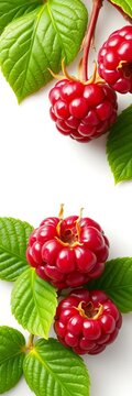 Ripe raspberry with green leaves on a white background, pattern, harvest