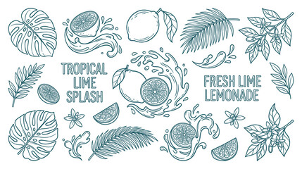 Obraz premium Set of refreshing tropical lime elements and splash illustrations.