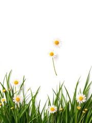 Flat green grass with daisies icon isolated on white background, pattern, element © Tanapong