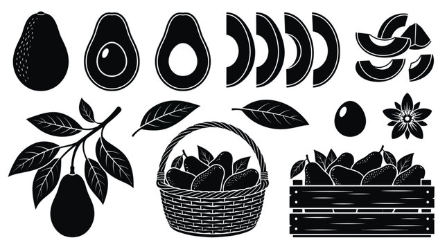 Black and white vector set of avocado fruits slices leaves basket with vector illustrations with presents collection