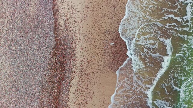 Top Down Aerial, Colorful Pebble Shoreline and Baltic Surf at Nida Beach Latvia