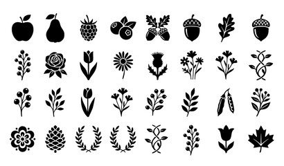 Botanical fruit berry flower silhouette icon collection with hand drawn black vector illustrations isolated on white background © MstNazma