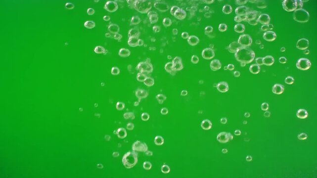 Rising Water Bubble Green Screen Overlay For Underwater And Motion Graphics