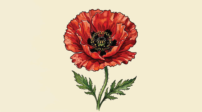 Vibrant Red Poppy Flower Isolated on Soft Beige Background, Detailed Botanical Illustration for Spring and Summer Decor