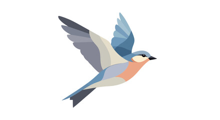 Fototapeta premium A beautiful blue and pink bird in flight with wings spread wide.