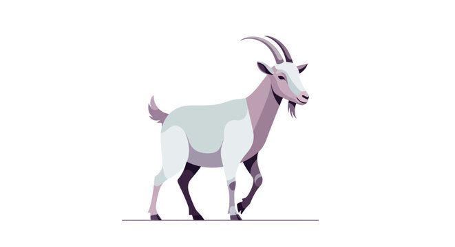 A Domestic Goat Standing on a White Background.