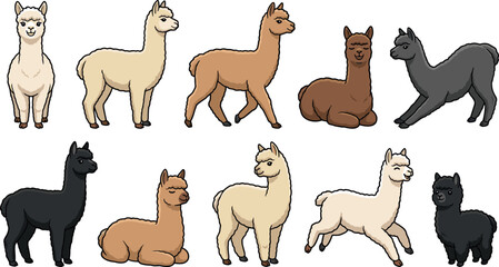 Cute Alpaca Vector Character Set Featuring Various Poses and Colors Including Standing Walking Running Sitting and Stretching for Kids Designs Patterns and TextilesCute Alpaca Vector Character Set Fea © MDHAFIJUDDIN