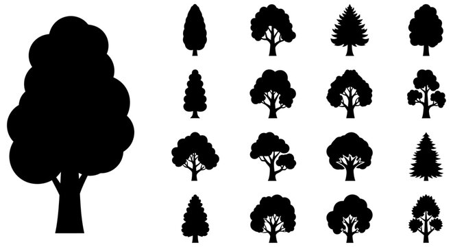 Collection Of Black Tree Silhouettes Vector Illustration On White Background