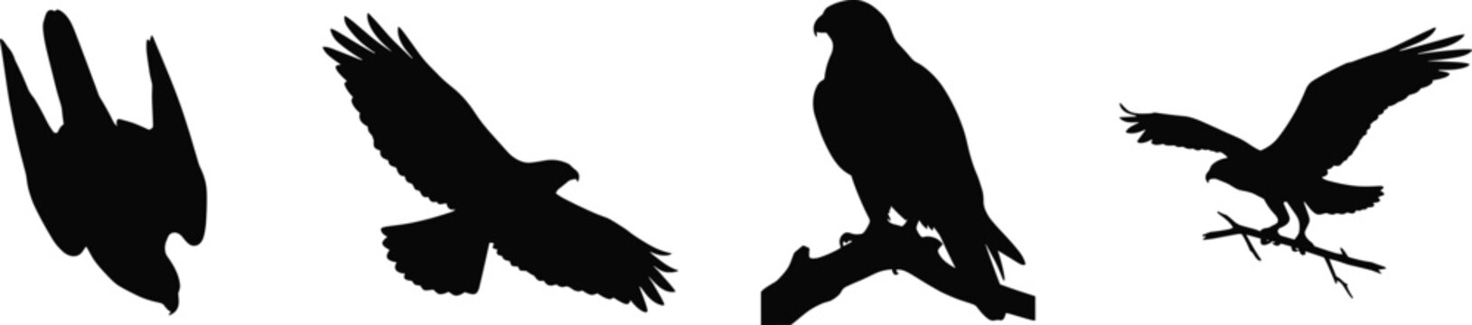 Set of black silhouette vector icons featuring eagles and hawks flying and perched on branches