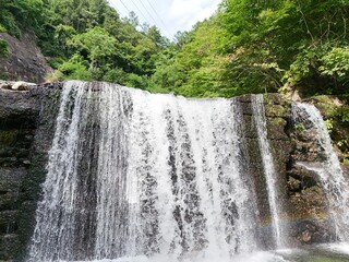 Water cascades over mossy rocks with lush green trees above © Masakazu Tokashiki