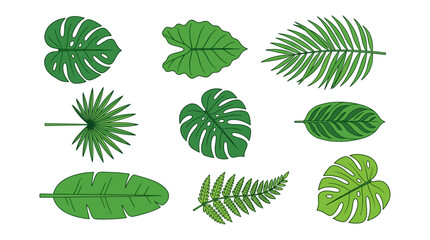 Tropical Green Leaves Collection © bahar