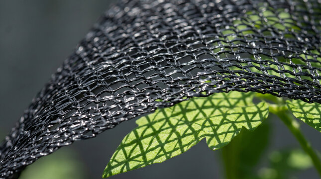 Close up of black agricultural shade net casting shadows on a green leaf
