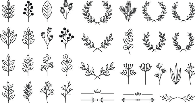 Minimalist linear botanical vector set with simple floral wreaths branches laurel leaves dividers and decorative border design elements