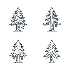 Obraz premium Illustrations of four distinct pine trees displaying various sap and bark textures