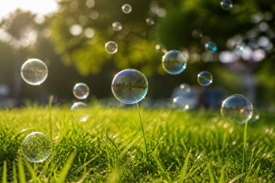 Bubbles float over bright green grass in a sunlit outdoor setting.