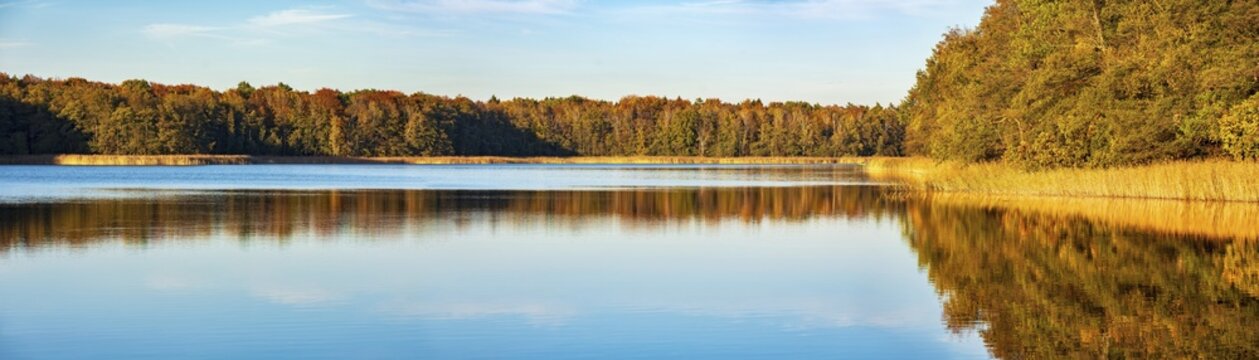 Panorama, Lake with reeds surrounded by forest in autumn, Gro&szlig;er Krienertsee, Schorfheide, Uckermark, Brandenburg, Germany