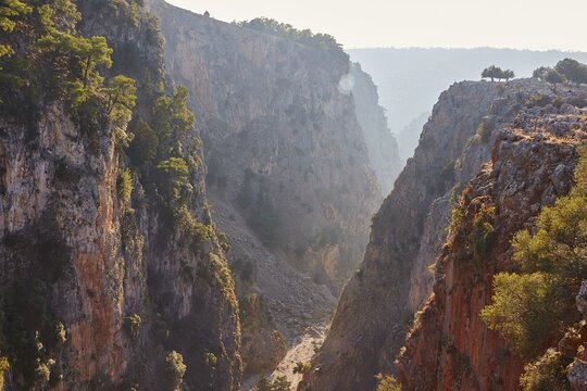Deep view into a wooded gorge penetrated by gentle sunbeams, Aradena Gorge, Aradena, Sfakia, Crete, Greece