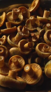 Freshly picked saffron milk cap mushrooms, also known as Lactarius deliciosus, rotating in a dark bowl against a black background, perfect for gourmet and culinary concepts