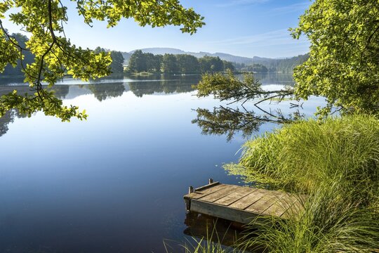A jetty at Blaibacher See. Blaibach, district of Cham, Upper Palatinate, Bavarian Forest, Bavaria, Germany