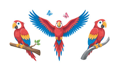 Set of scarlet macaw parrot vector illustrations featuring flying and perched tropical birds © abdur