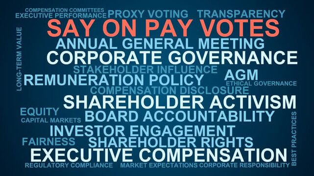 Say On Pay Votes Word Cloud