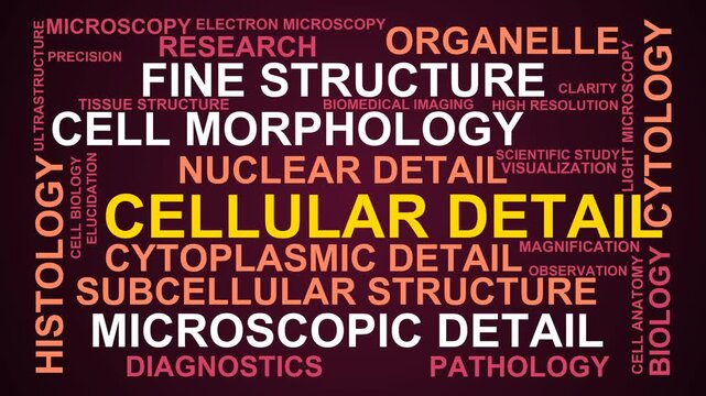 Cellular Detail Word Cloud