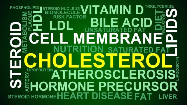 Cholesterol Word Cloud