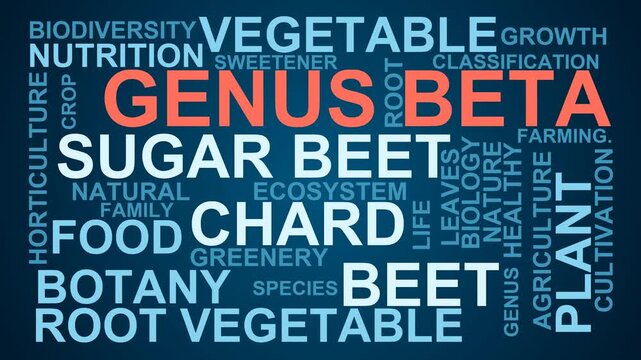 Genus Beta Word Cloud