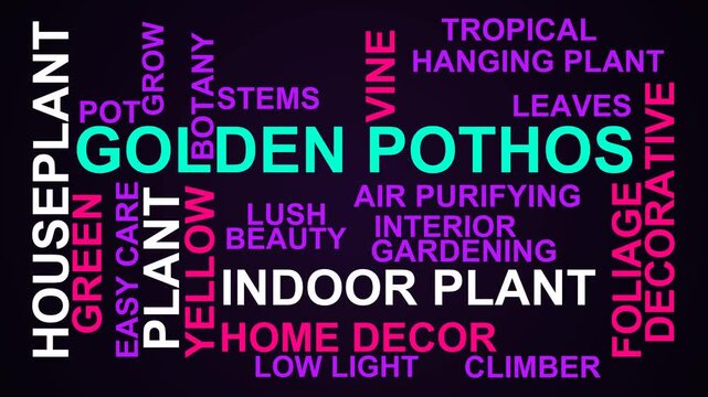 Golden Pothos Word Cloud