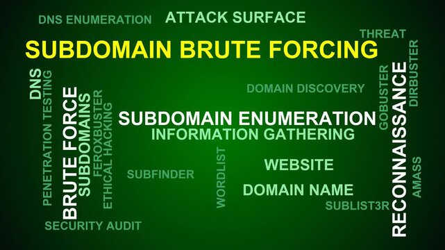 Subdomain Brute Forcing Word Cloud