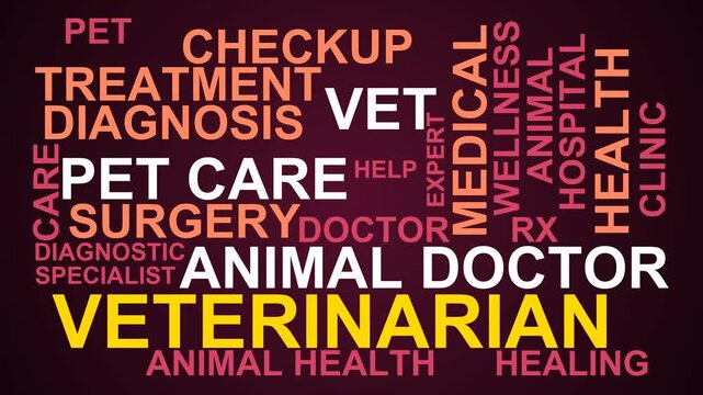 Veterinarian Word Cloud