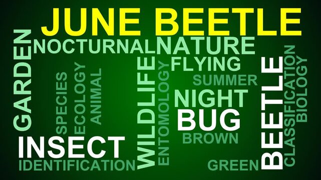 June Beetle Word Cloud